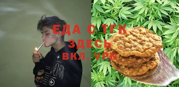 крисы Бородино