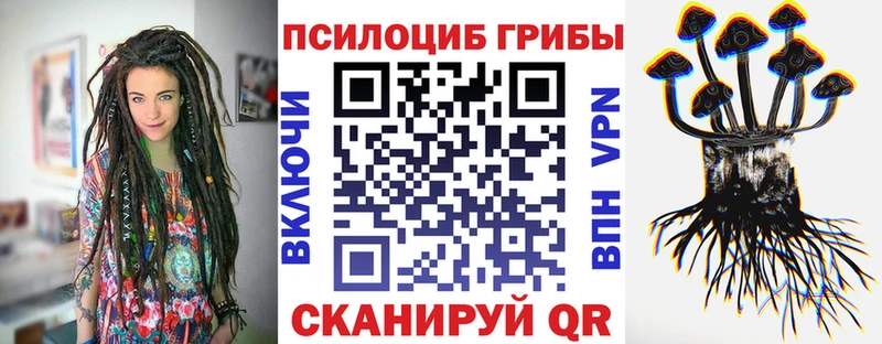 Купить закладки  Миллерово  Галлюциногенные грибы прущие грибы 