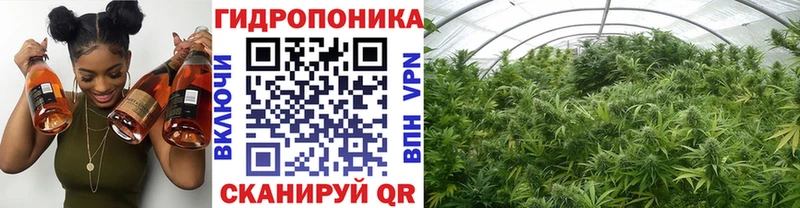 Шишки марихуана LSD WEED  Купить закладки  Миллерово 